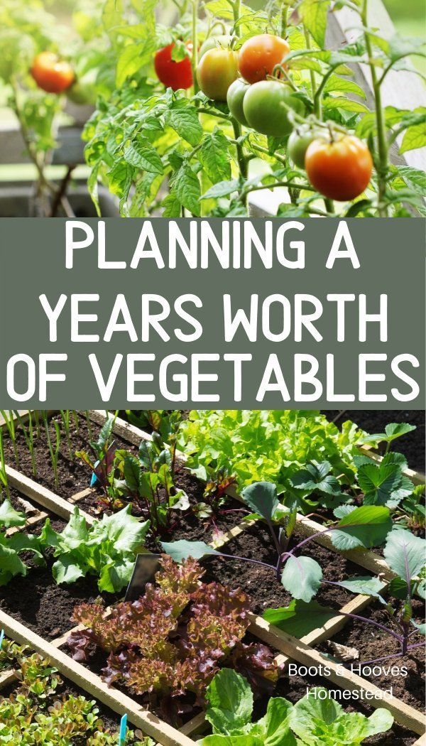 The Family Garden Plan -   18 planting Garden food ideas