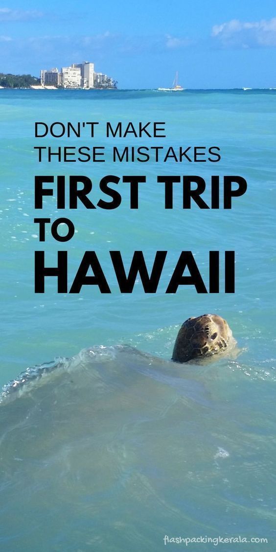 First time trip to Hawaii?! Things NOT to do рџЊґ Oahu, Maui, Kauai, Big Island рџЊґ Hawaii travel blog | Flashpacking Kerala -   18 travel destinations Tropical oahu hawaii ideas