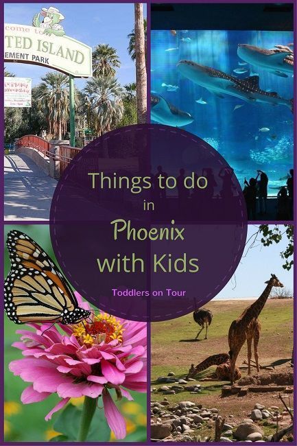 Fun Things To Do with Your Kids in Phoenix - Toddlers on Tour -   20 holiday Travel with kids ideas
