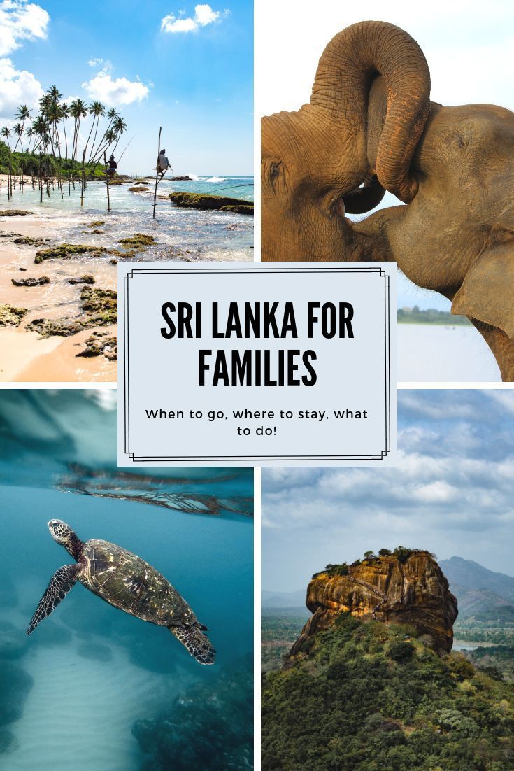 Sri Lanka for families: When to go, where to stay, what to do with kids in tow -   20 holiday Travel with kids ideas