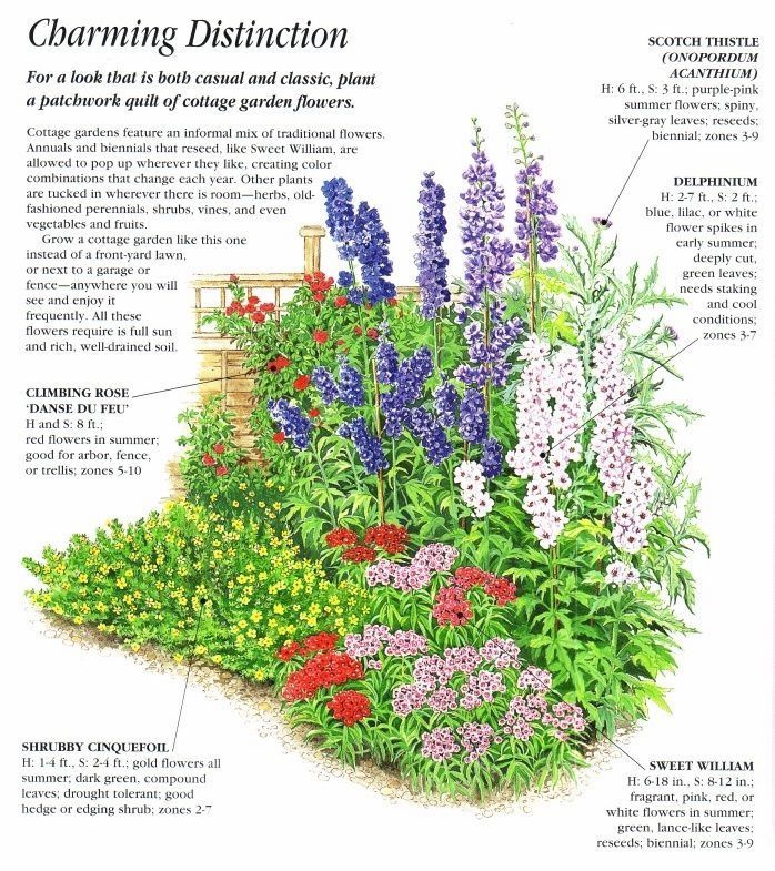 Flower Bed Ideas With Roses -   6 english garden design Layout ideas