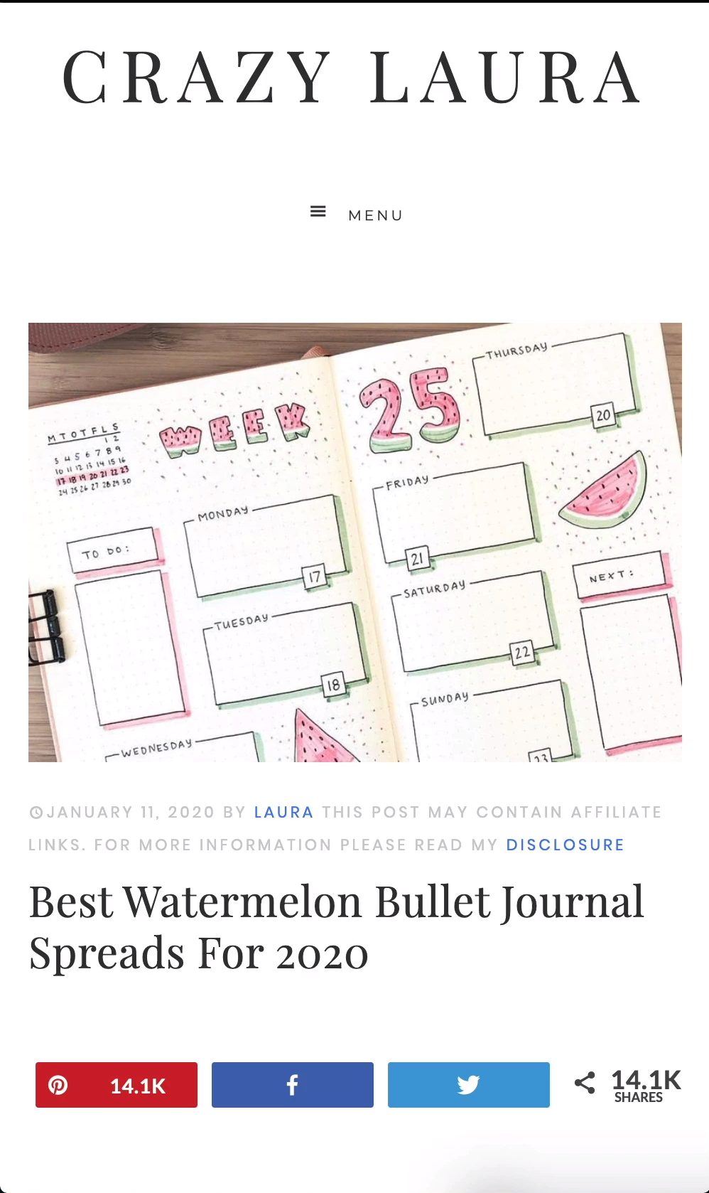 Best Watermelon Bullet Journal Spreads For 2020 -   12 fitness Journal spreads ideas