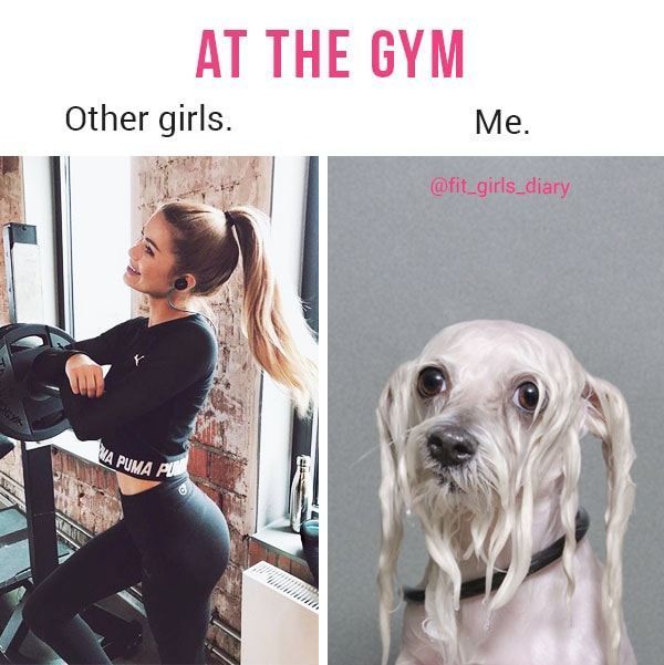 The Funniest Fitness Memes You've Ever Seen -   13 fitness Memes articles ideas