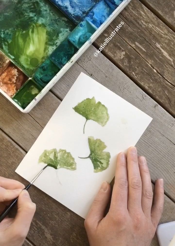Pretty Green Gingko Botanical Illustration -   13 planting Drawing charcoal ideas