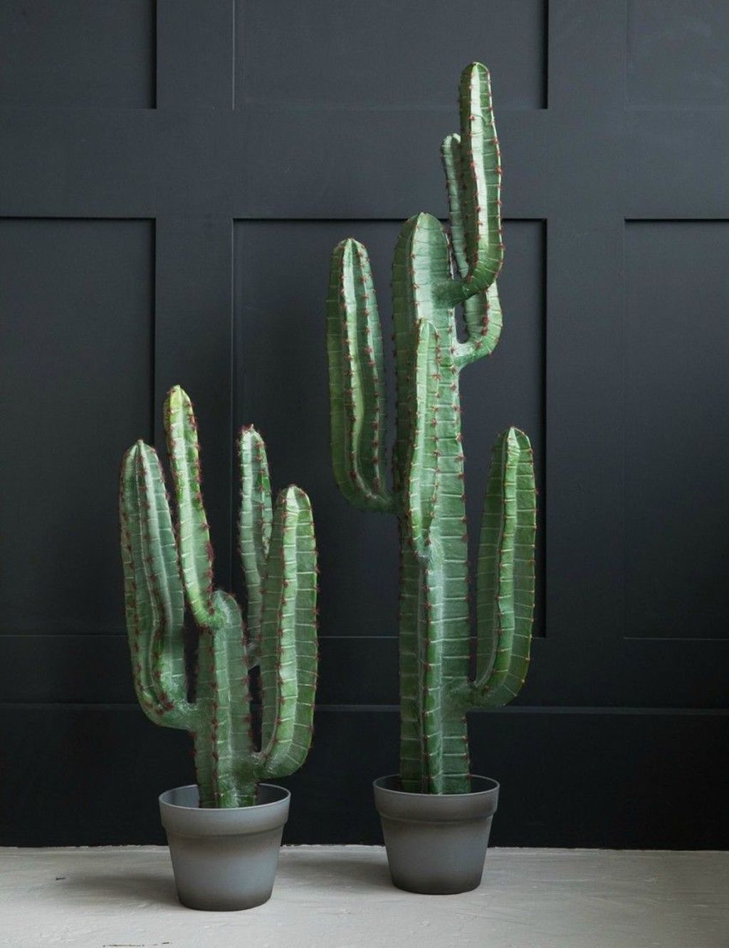 Small cactus -  Cactus plants -  Indoor cactus -  Faux cactus -  Cactus garden -  Cactus house plan -   14 plants Cactus awesome ideas