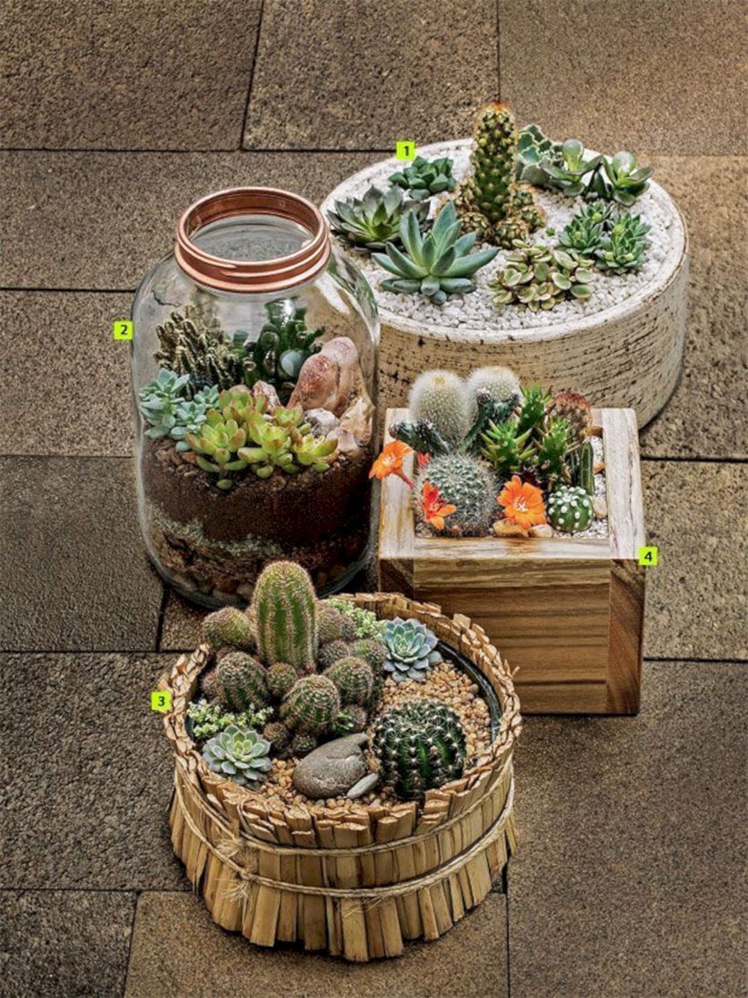 Awesome Indoor And Outdoor Cactus Garden Ideas No 04 — Design & Decorating -   14 plants Cactus awesome ideas