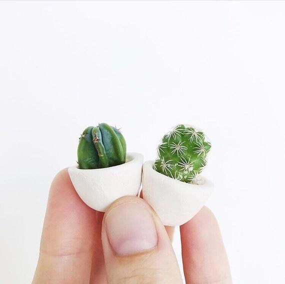 Mini Cactus and Mini Planter - Lino Mini Cactus Kit, Handmade Ceramic Planter, Mini Cactus, Cactus Plant, Cactus Planter, Planter -   14 plants Cactus awesome ideas
