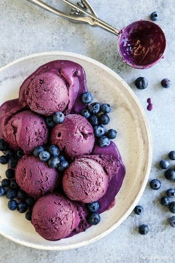40 Bodacious Blueberry Recipes - Noshing With the Nolands -   16 blueberry desserts Photography ideas