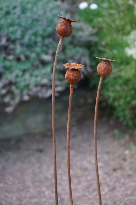 Rusty metal Poppy seed head garden sculptures / garden art decoration / outdoor sculpture / plant supports / handmade welded art - set of 3 -   16 planting Art sculpture ideas