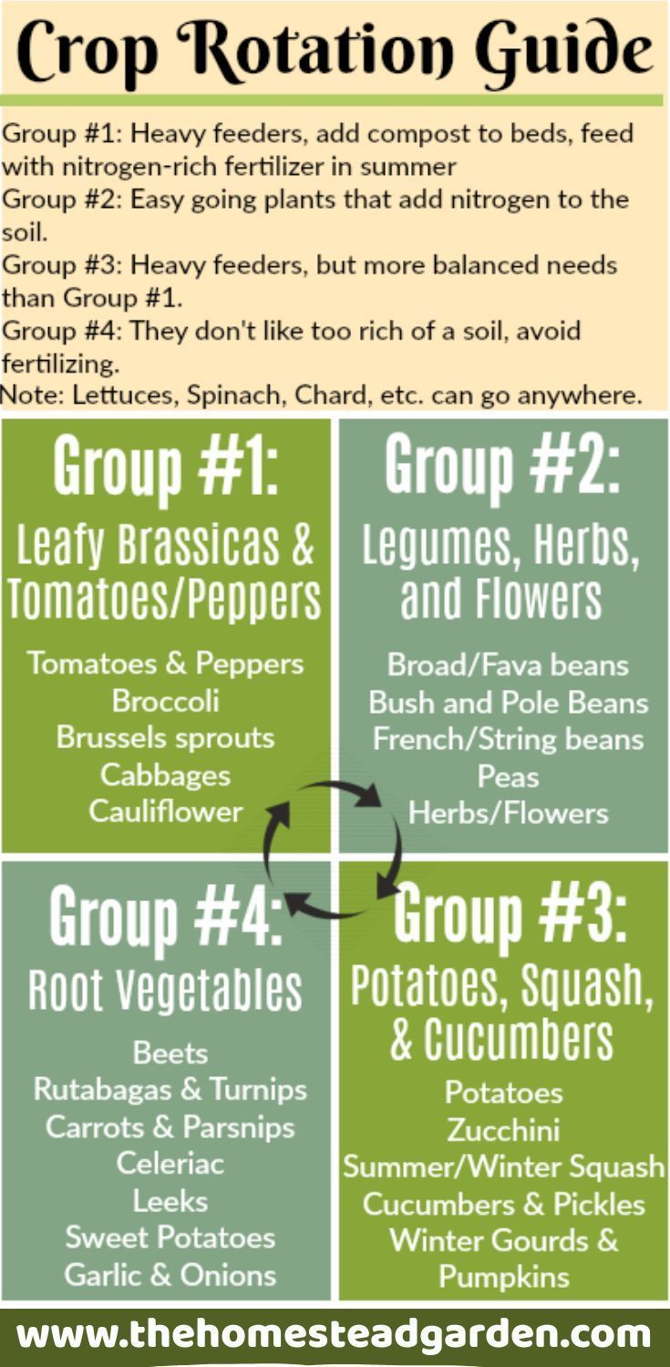 Crop Rotation Guide -   16 planting Garden thoughts ideas