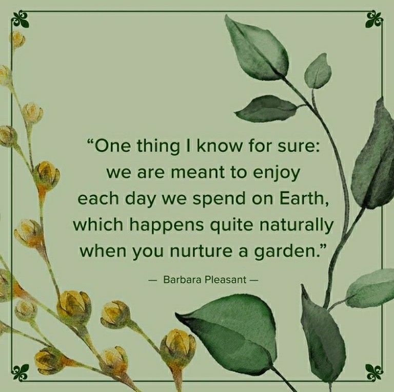 One thing I know for sure: we are meant to enjoy each day we spend on Earth, which happens quite -   16 planting Garden thoughts ideas