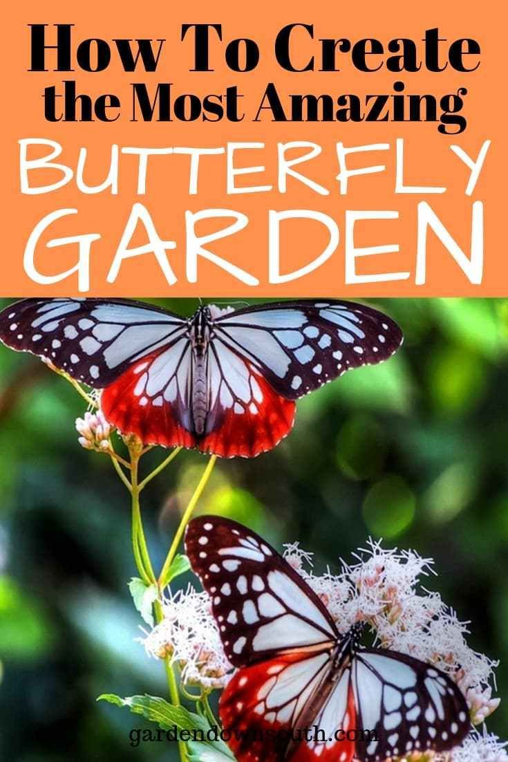 Best Tips for Creating a Butterfly Garden ~ Garden Down South -   16 planting Garden thoughts ideas