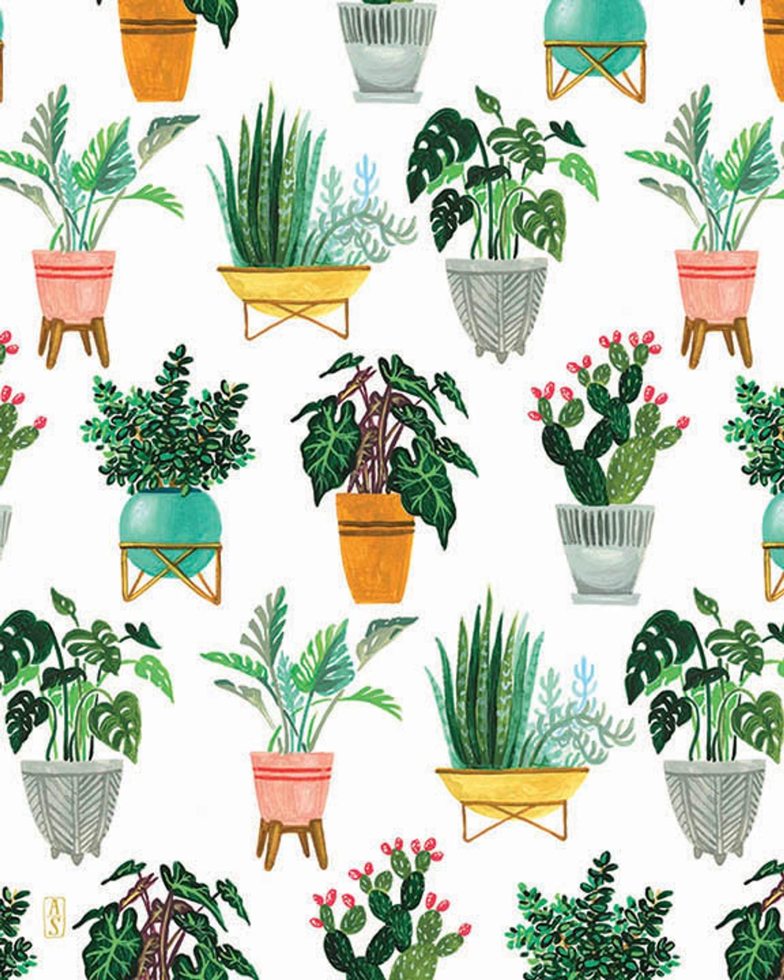 Plant Pattern Print, Plant Illustration, Plant Art, Cactus, Succulent, Monstera Plant -   18 cute planting Art ideas