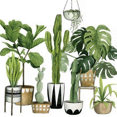 'Plant Haven I' Graphic Art Print on Canvas | Joss & Main -   18 cute planting Art ideas