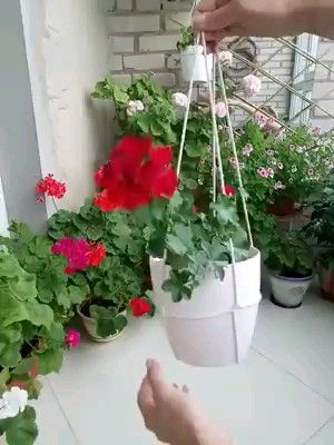 Make Your Plants Hang With This Cool String Trick -   18 cute planting Art ideas