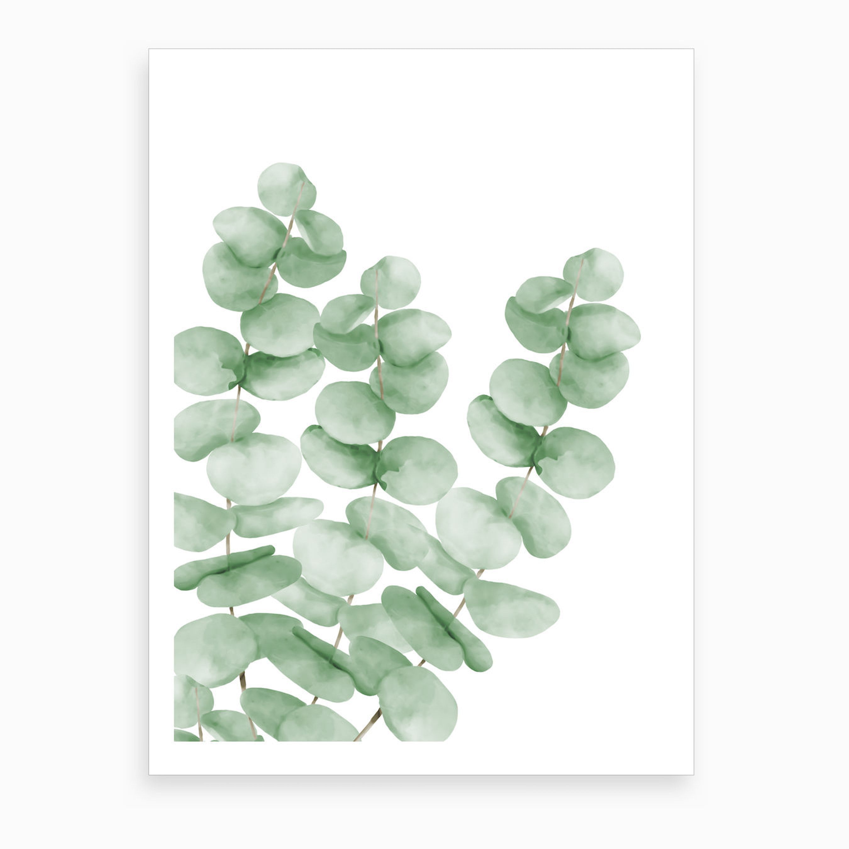 Watercolor Eucalyptus Leaves Art Print -   18 cute planting Art ideas