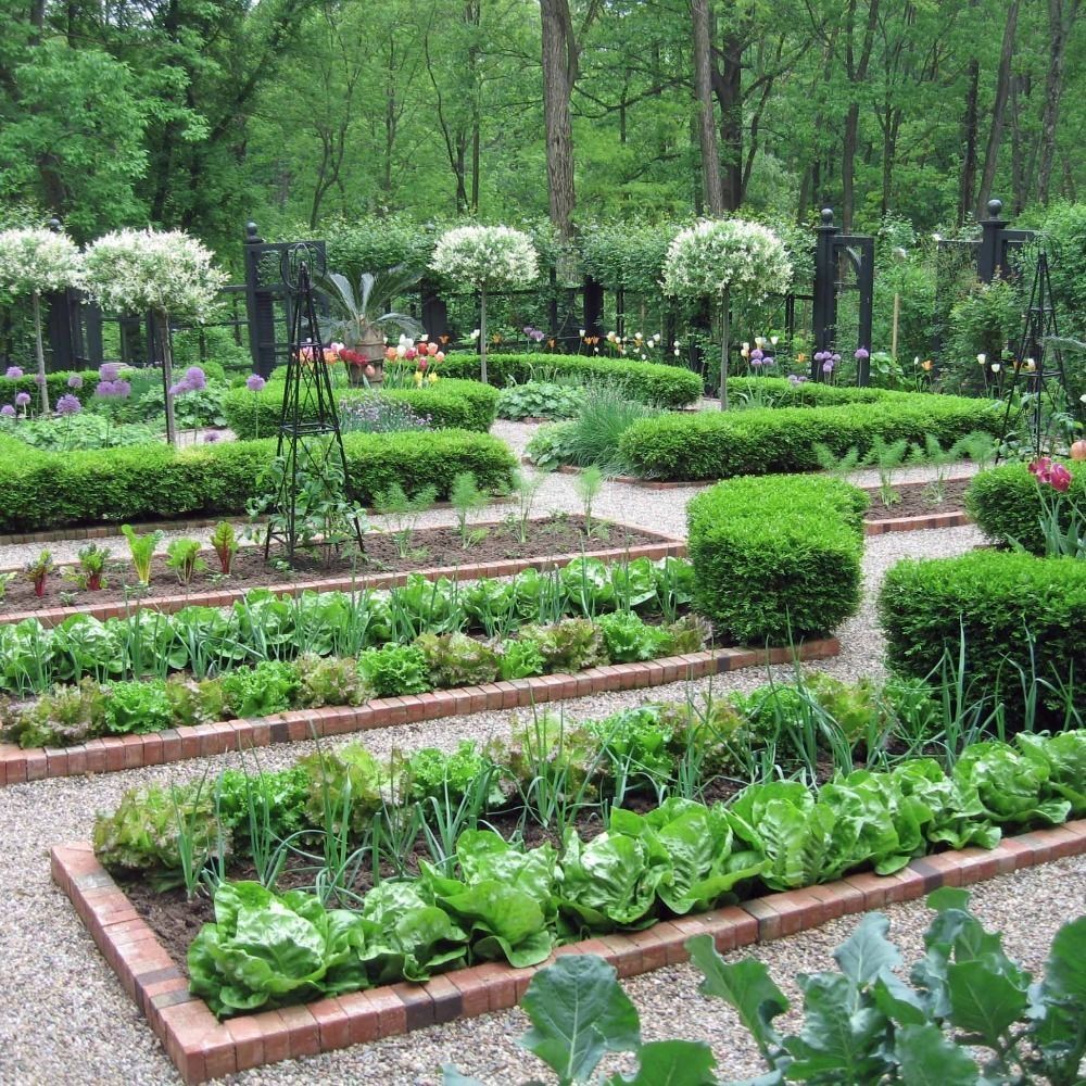 Easy Garden Design Ideas You Can Do Yourself -   7 garden design Layout curved ideas
