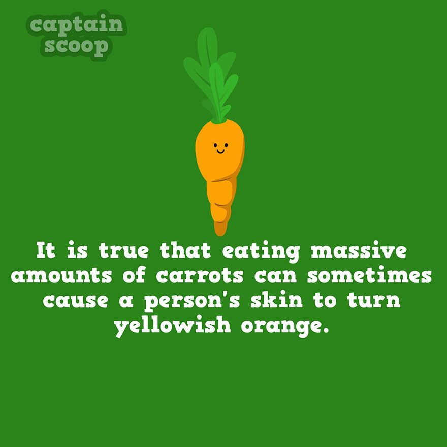 15 Fun Facts About Vegetables That You Might Not Know! -   9 diet Funny facts ideas