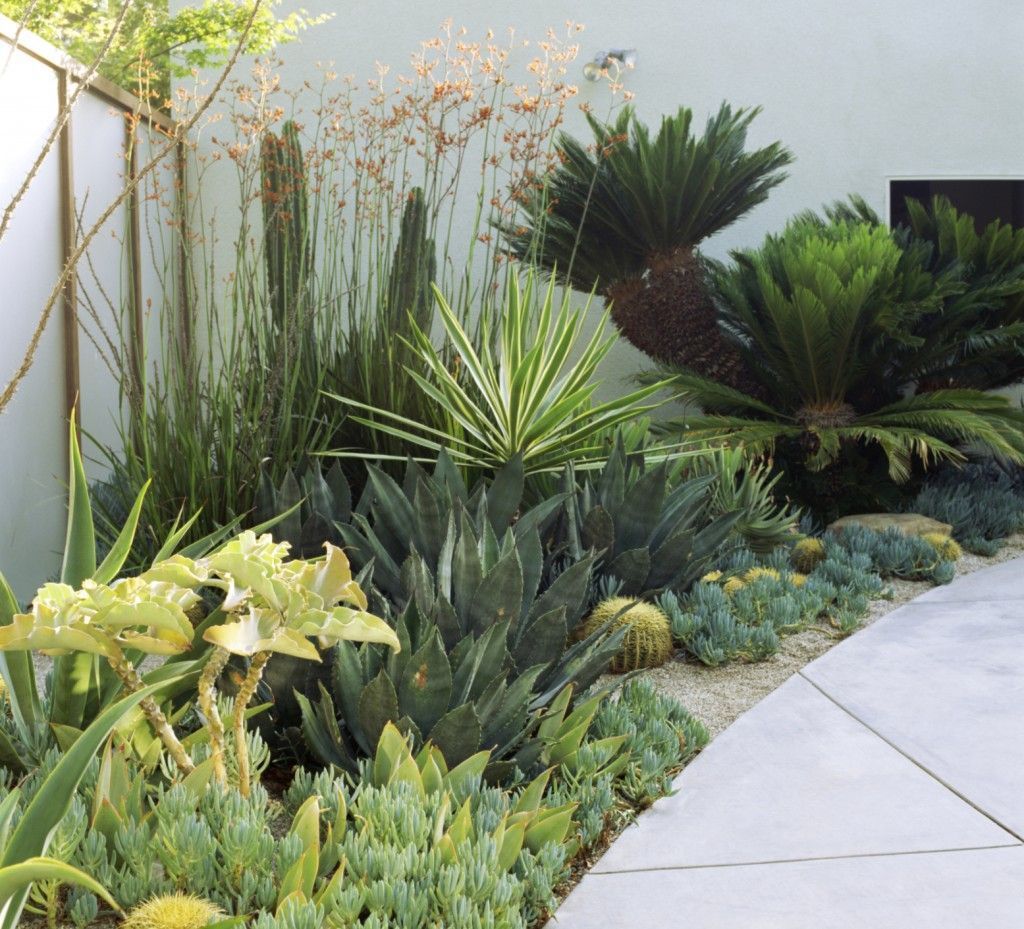 10 tips for a stylish contemporary garden design -   12 garden design Contemporary landscaping ideas