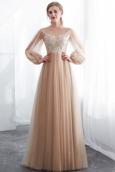 Gorgeous Long Sleeve Tulle Prom Dress Long Evening Party Gowns With Appliques -   14 dress Evening party ideas