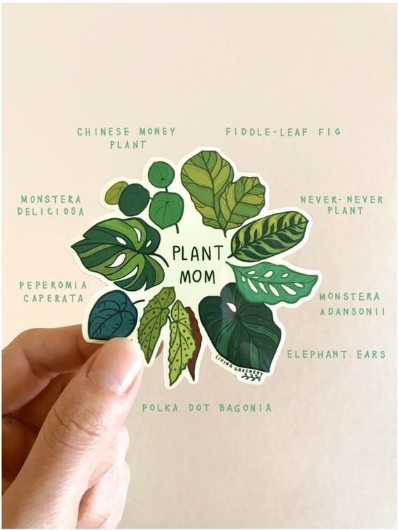 Plant Mom sticker, Glossy Coated vinyl Die Cut Sticker, House Plant Sticker, Plant Sticker, Weatherp -   14 monstera plants Quotes ideas