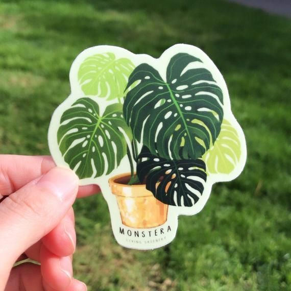 Monstera Plant in Gold Brass Planter Sticker, Monstera Plant Sticker, House Plant Sticker, Weatherpr -   14 monstera plants Quotes ideas