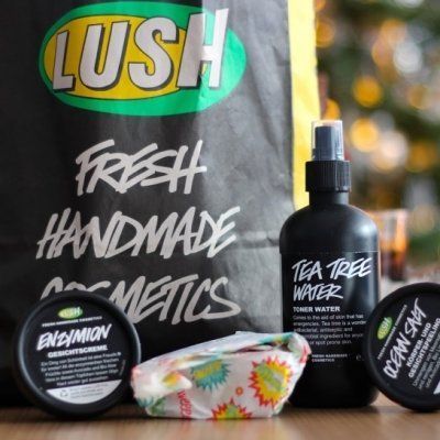 13 of the Best LUSH Products to Use for Acne-prone Skin ... -   15 skin care Acne lush ideas