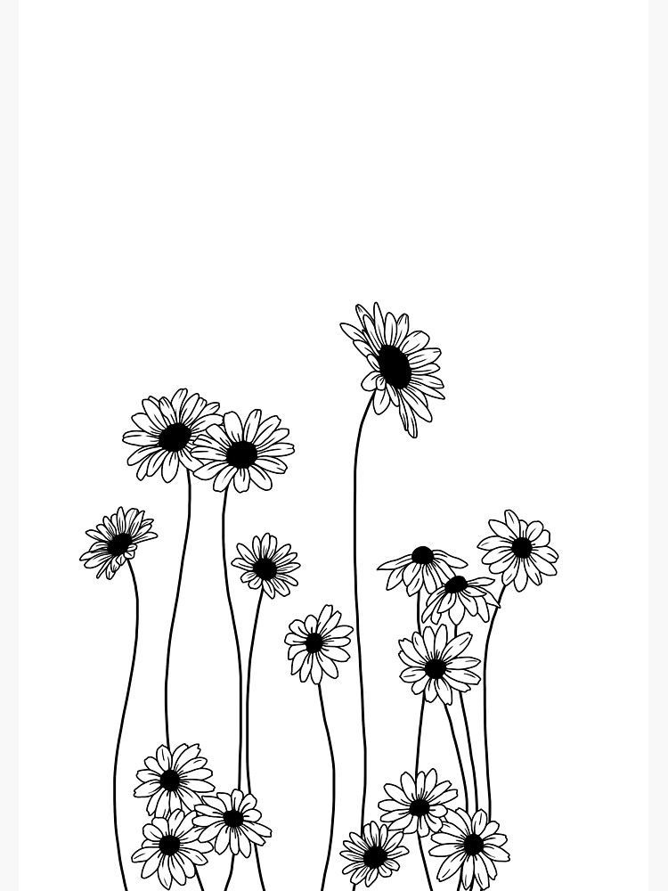 'Daisies botanical line drawing' Poster by TheColourStudy -   16 planting Drawing nature ideas