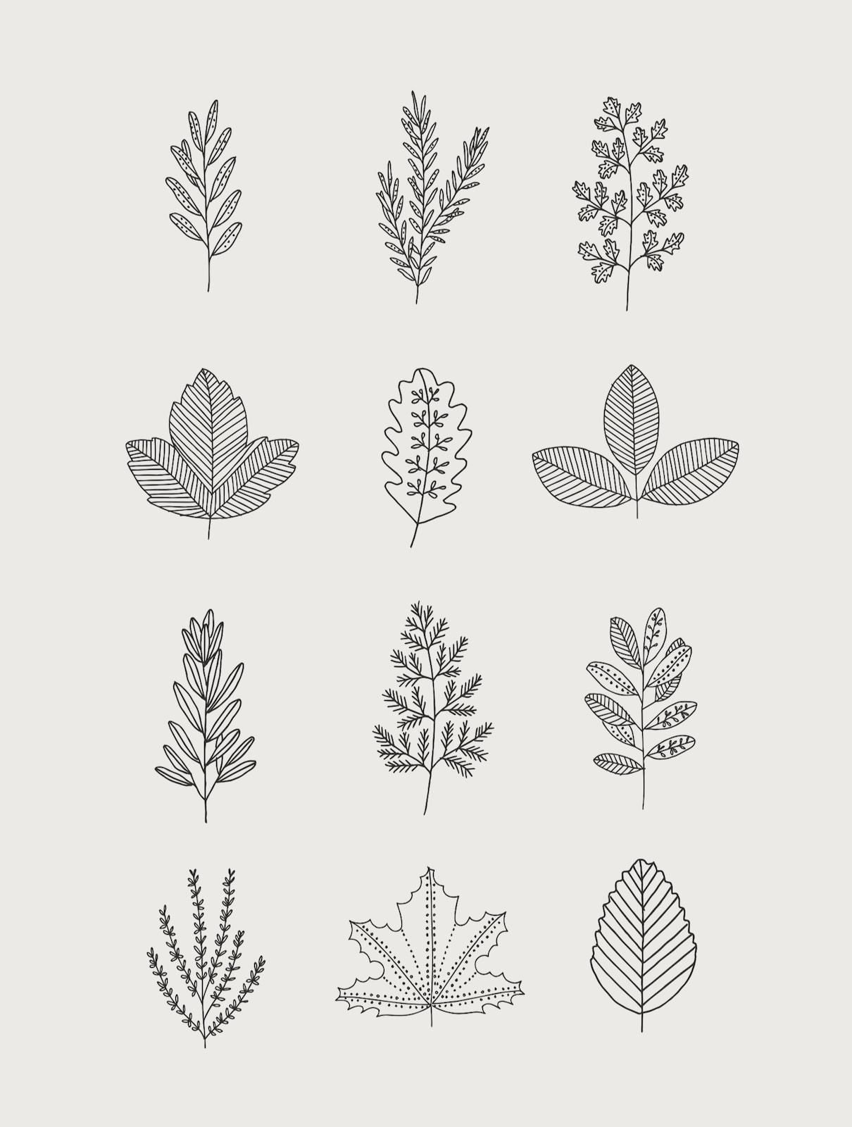 30 Ways to Draw Plants & Leaves -   16 planting Drawing nature ideas