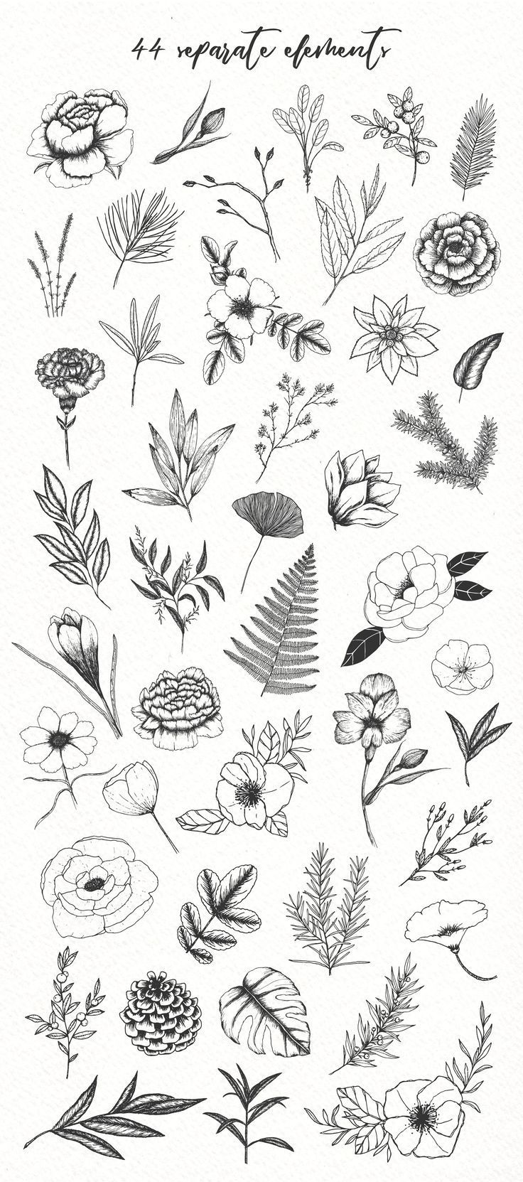 Botanical illustrations pack -   16 planting Drawing nature ideas