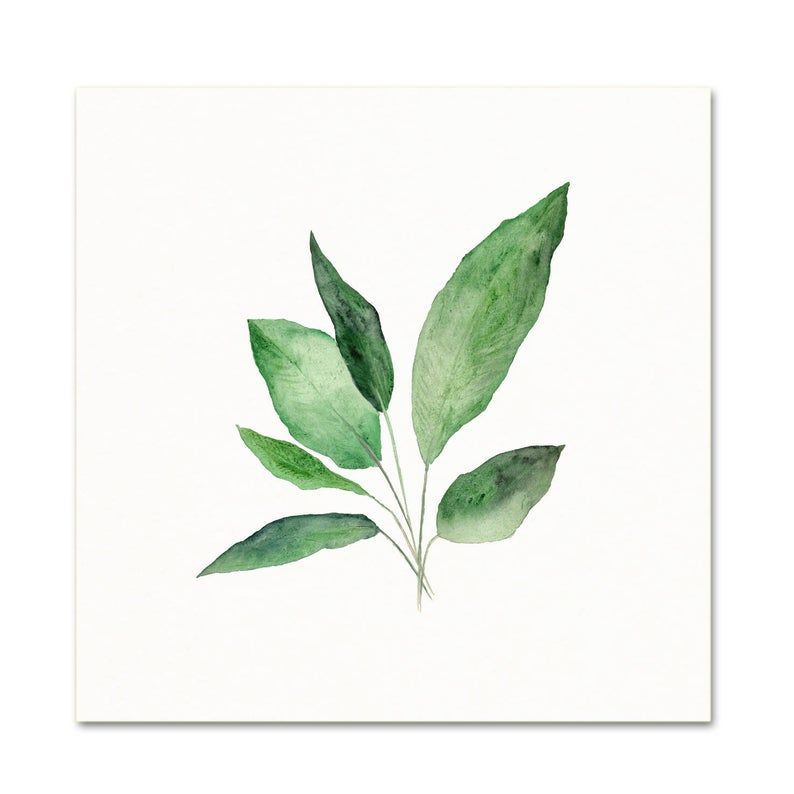 Watercolor Botanical Art Print. Peace Lily Leaves. House Plant Art. Living Room Decor. Nature Art. Simple Botanical Painting. Nursery Art. -   16 planting Drawing nature ideas