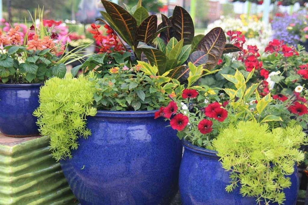Tips For Planting In Large Planters Using Less Soil. -   17 planting Outdoor large ideas