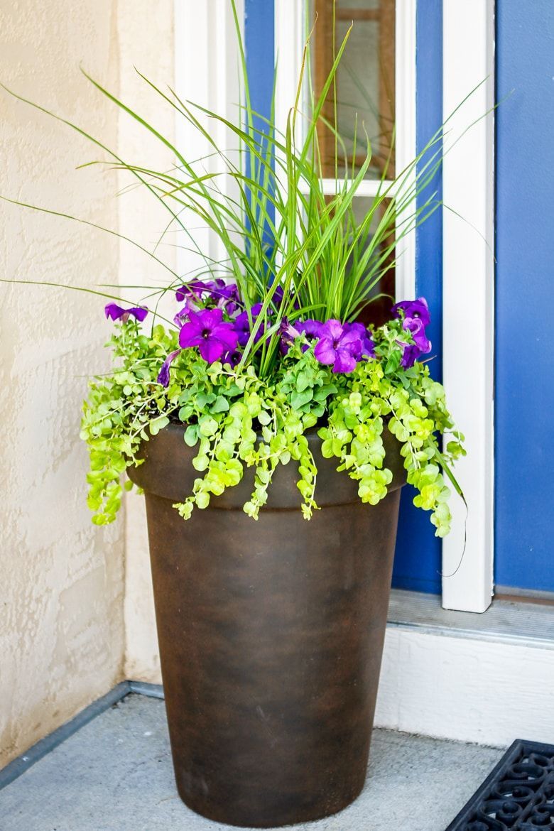 Planting A Garden Vase In 3 Easy Steps | Unsophisticook -   17 planting Outdoor large ideas