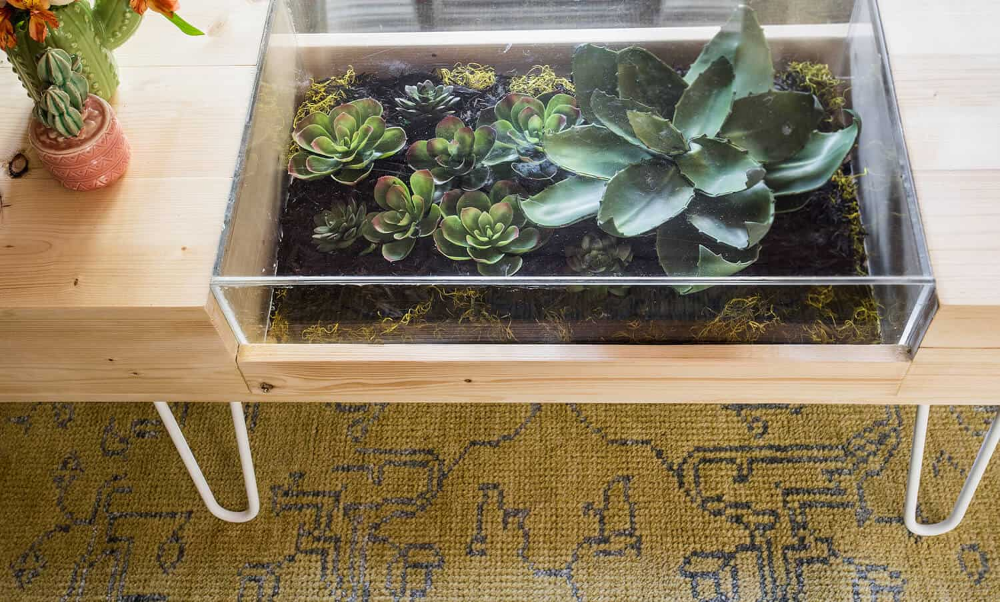 DIY Terrarium Coffee Table - A Beautiful Mess -   17 plants Succulent coffee tables ideas