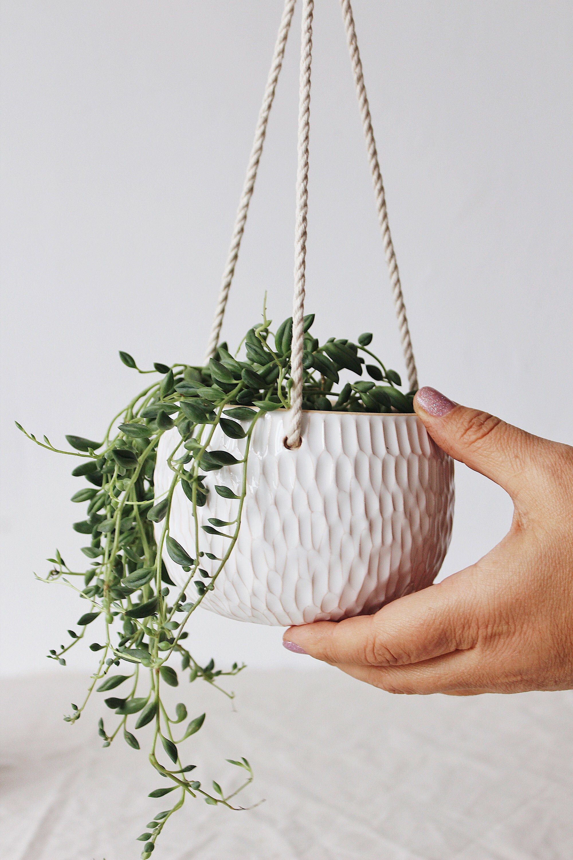 White succulent hanging planter, Ceramic wall planter, Plant hanger, Hanging plant pot, Indoor planter, Plant holder, Modern planter indoor -   17 plants Succulent coffee tables ideas