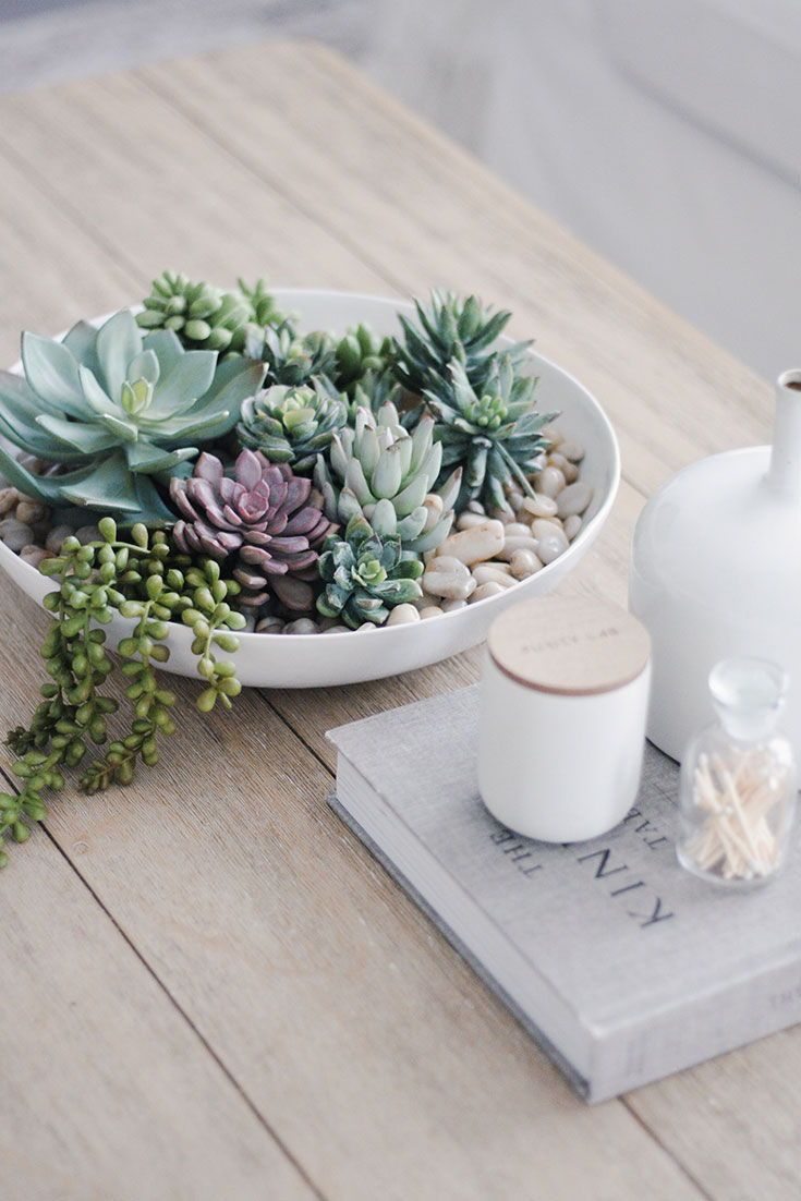17 plants Succulent coffee tables ideas