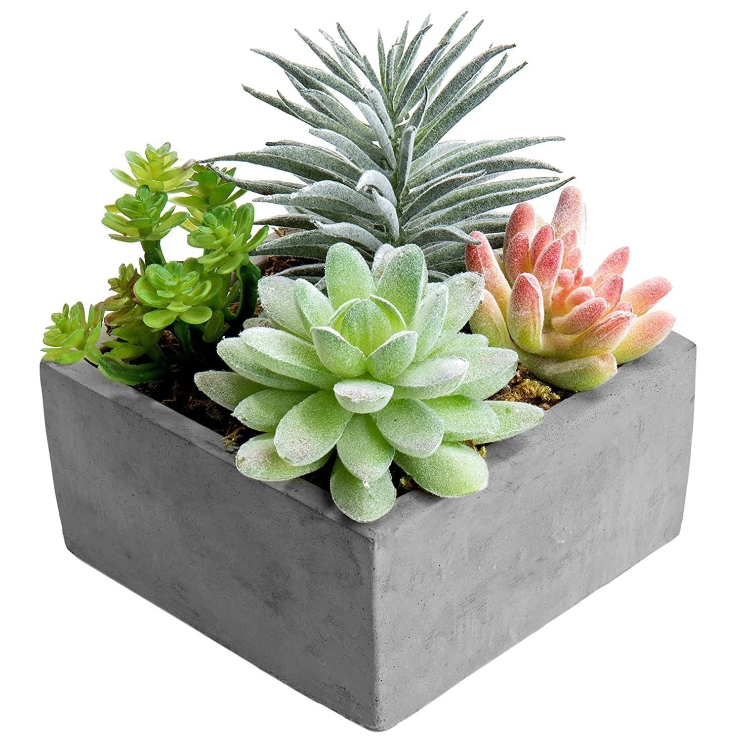 Artificial Succulent Plants Arrangement in Grey Square Cement Pot (Assortment -   17 plants Succulent coffee tables ideas