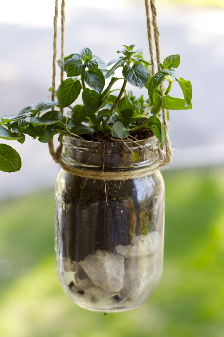 DIY Mason Jar Hanging Herb Planter – Ramshackle Glam -   18 plants Hanging herb planters ideas