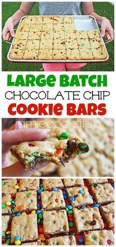 Large Batch Chocolate Chip Cookie Bars -   21 large desserts For A Crowd ideas