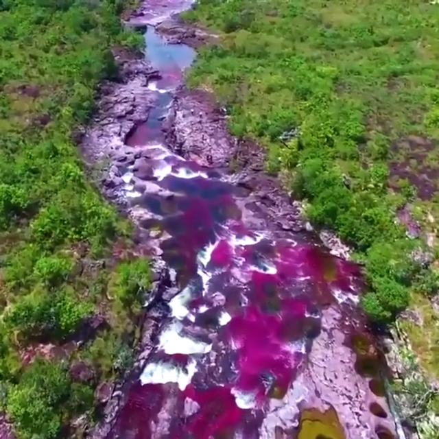 Ca?o Cristales River, Colombia рџ”Ґ -   22 amazing travel destinations Videos ideas