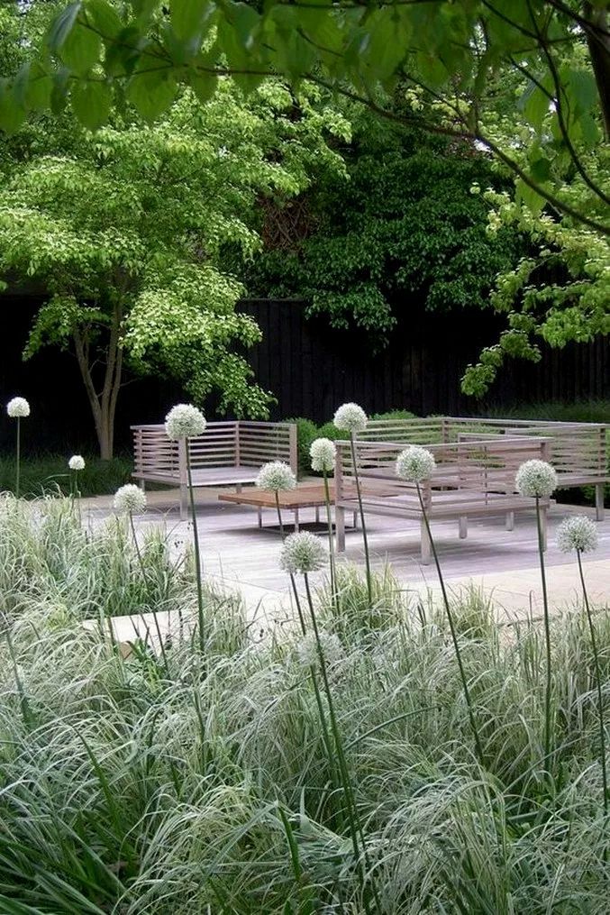 Best Garden Design -   9 garden design Minimalist trees ideas