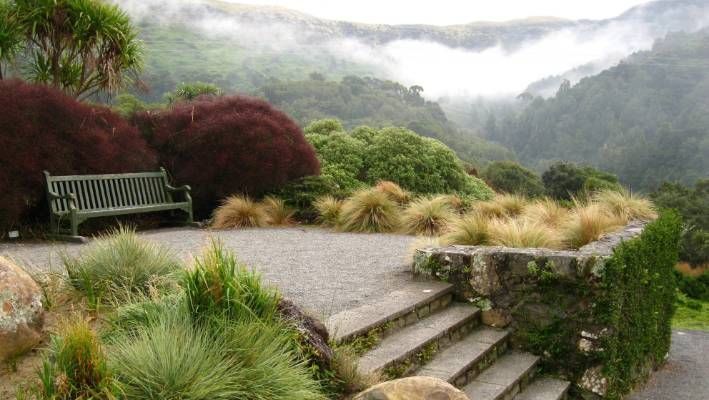 Wellington Garden (fr Stuff.co.nz) -   9 garden design New Zealand landscapes ideas