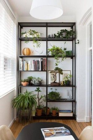 How to Decorate Shelves Like a Pro -   15 plants Appartement shelves ideas