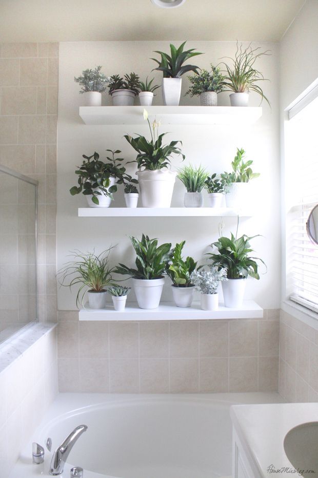 17 Bathrooms That Prove the Shower Plant Trend is Here to Stay -   15 plants Appartement shelves ideas