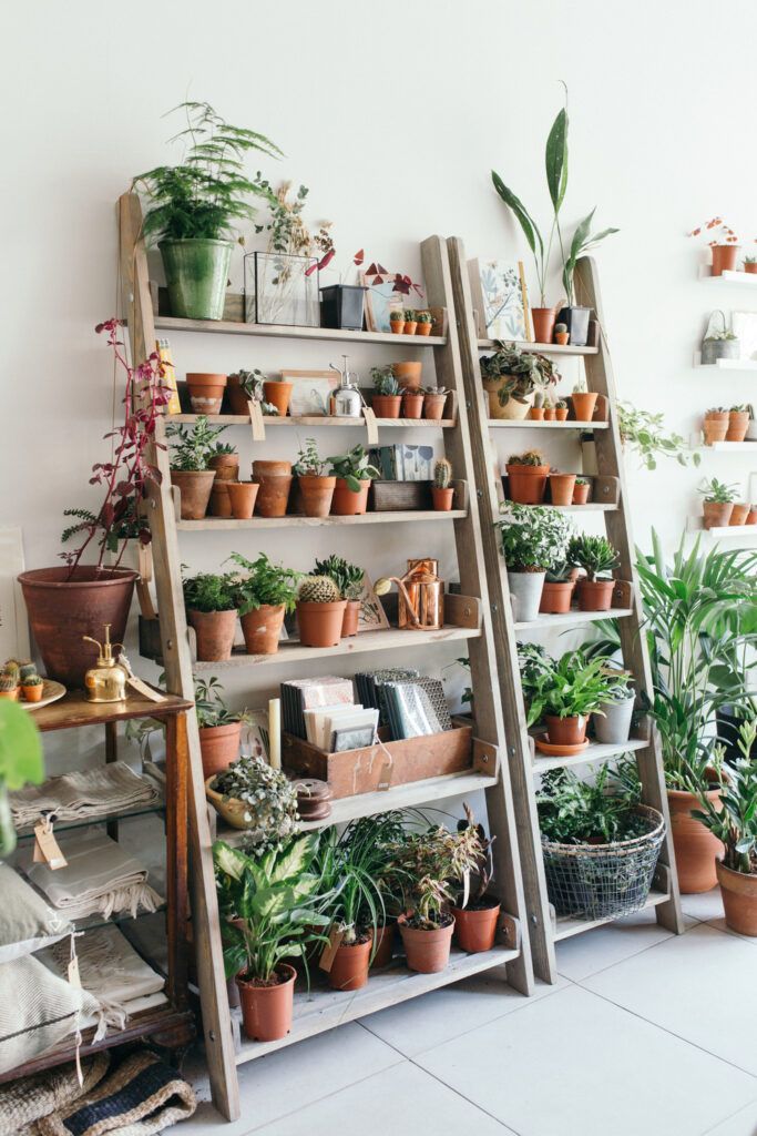 Unique Plant Stands Ideas for Your Home - My Tasteful Space -   15 plants Appartement shelves ideas