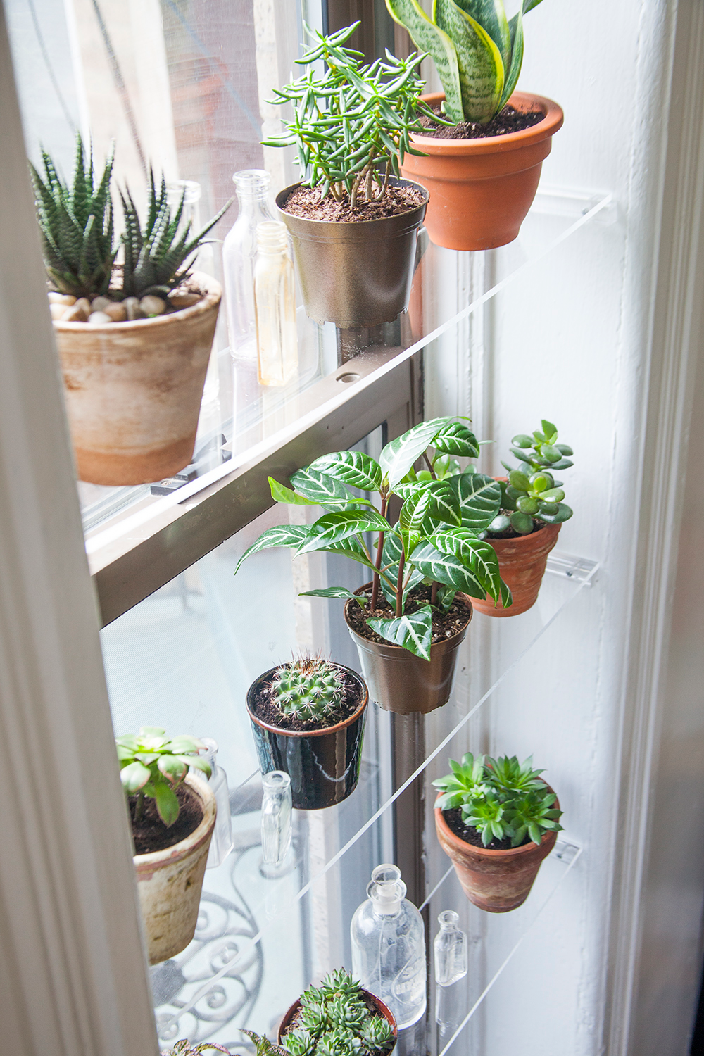 DIY Floating Window Shelves -   15 plants Appartement shelves ideas