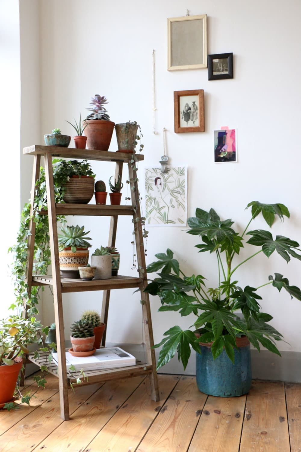 How To Shop (& Get a New Look at Home) Without Spending a Dime -   15 plants Appartement shelves ideas