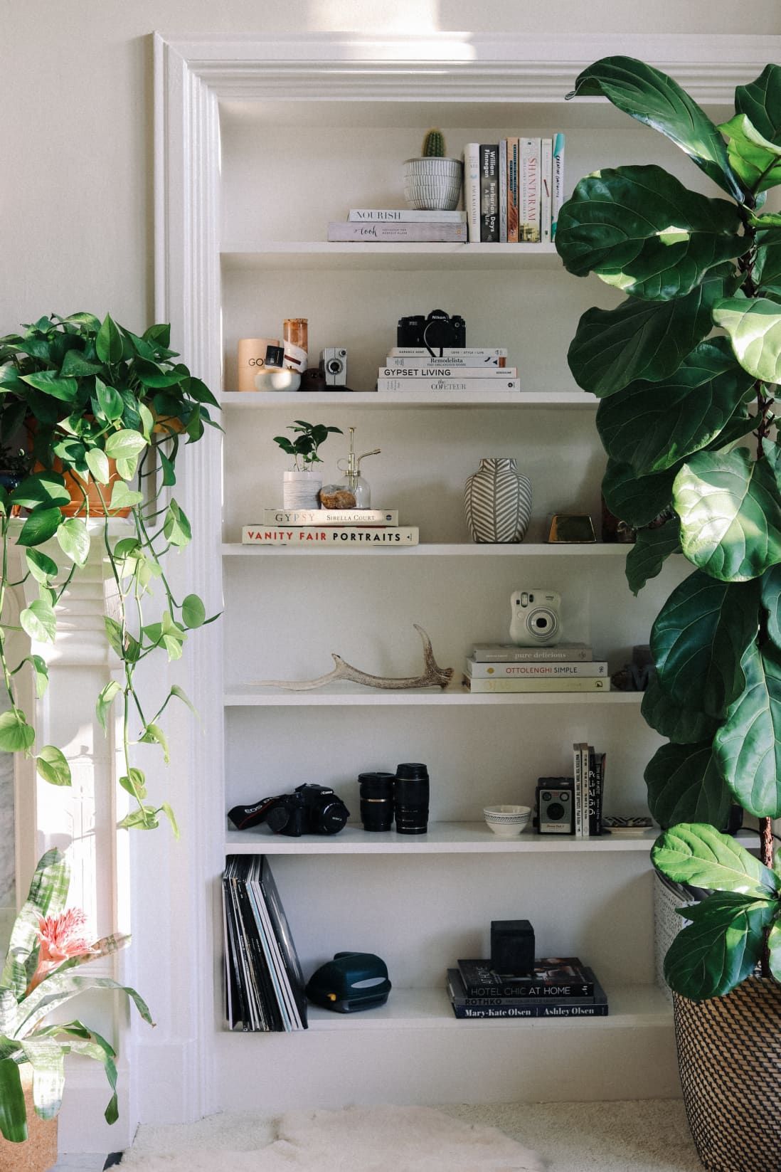 A 400-Square-Foot, Sunny San Francisco Studio Filled with Plants -   15 room decor Simple apartment therapy ideas