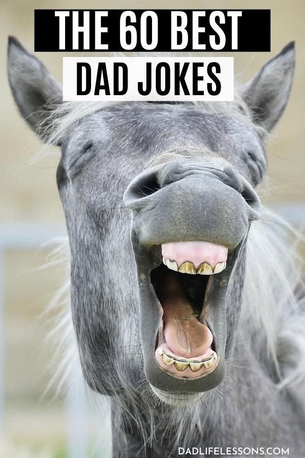 60 Best Dad Jokes -   16 dad jokes ideas