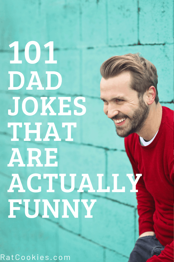 101 Dad Jokes That Are Funny - Rat Cookies -   16 dad jokes ideas